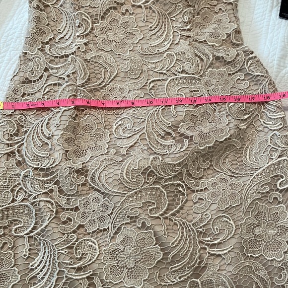 SOLD. New ADRIANNA PAPELL Champagne Lace Dress size 10 - Picture 13 of 17